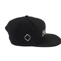 BROOKLYN BRUSH SNAPBACK